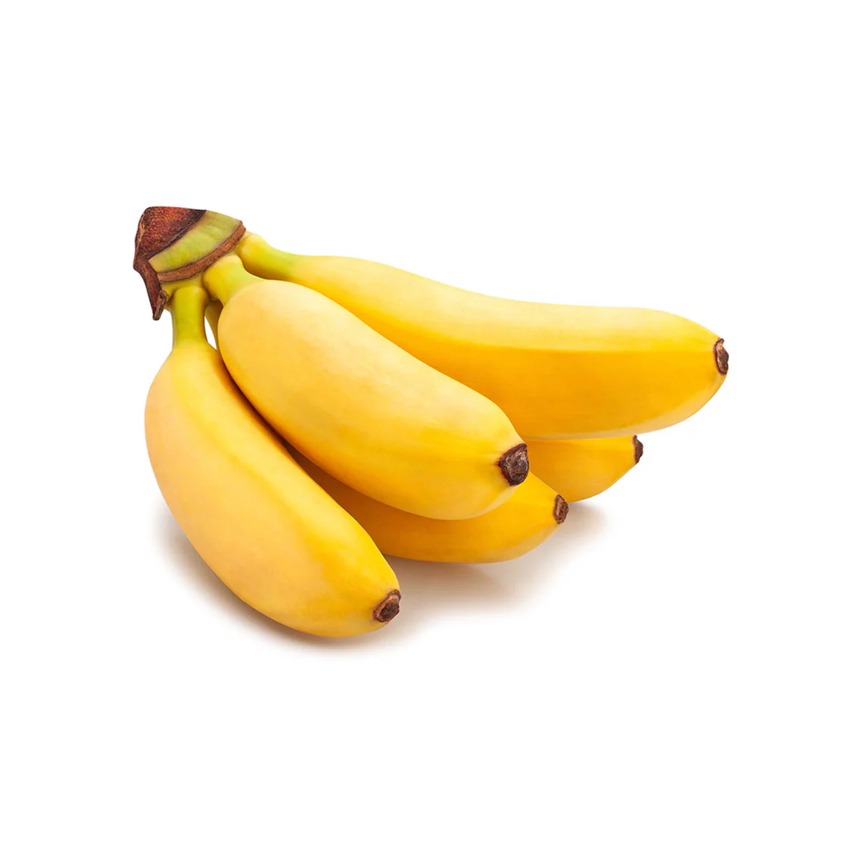 Organic Fresh Tropical Banana Fruit